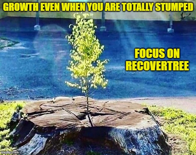 recovery | GROWTH EVEN WHEN YOU ARE TOTALLY STUMPED; FOCUS ON RECOVERTREE | image tagged in addiction,mental health,hope | made w/ Imgflip meme maker
