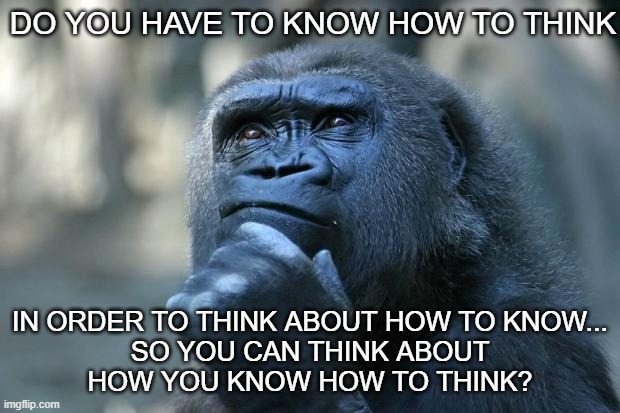 I mean, think about it... | DO YOU HAVE TO KNOW HOW TO THINK; IN ORDER TO THINK ABOUT HOW TO KNOW...
SO YOU CAN THINK ABOUT
HOW YOU KNOW HOW TO THINK? | image tagged in deep thoughts | made w/ Imgflip meme maker