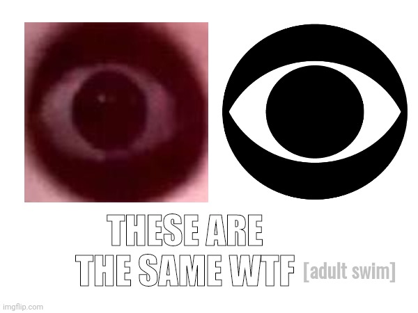 Lol!!!! | THESE ARE THE SAME WTF; [adult swim] | image tagged in funny,funny meme,cbs | made w/ Imgflip meme maker