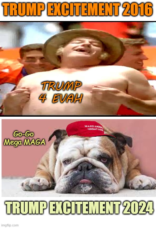 Trump so hot vs Trump so not | TRUMP EXCITEMENT 2016; TRUMP 4 EVAH; Go-Go
 Mega MAGA; TRUMP EXCITEMENT 2024 | image tagged in donald trump,maga,mans not hot,loser,politics | made w/ Imgflip meme maker