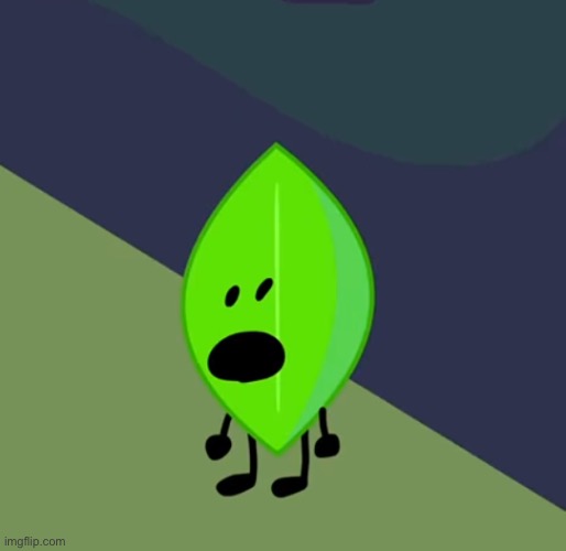Surprised Leafy | image tagged in surprised leafy | made w/ Imgflip meme maker