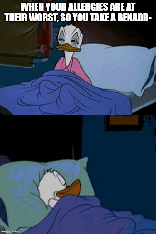I'm starting to feel much be- | WHEN YOUR ALLERGIES ARE AT THEIR WORST, SO YOU TAKE A BENADR- | image tagged in sleepy donald duck in bed | made w/ Imgflip meme maker