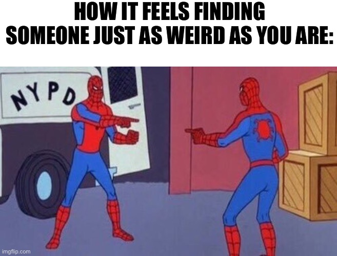 spiderman pointing at spiderman | HOW IT FEELS FINDING SOMEONE JUST AS WEIRD AS YOU ARE: | image tagged in spiderman pointing at spiderman,funny memes,memes | made w/ Imgflip meme maker