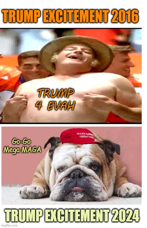 Trump hot vs Trump not | image tagged in donald trump,maga,losing,mans not hot,politics | made w/ Imgflip meme maker