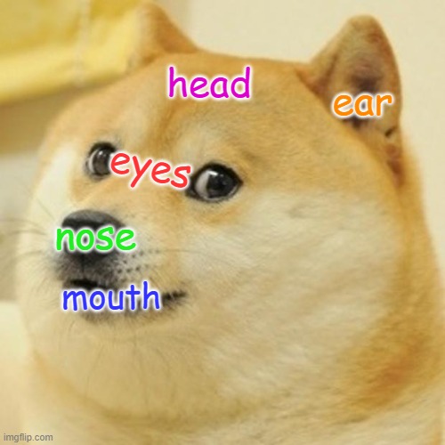 Doge Diagram | head; ear; eyes; nose; mouth | image tagged in memes,doge | made w/ Imgflip meme maker