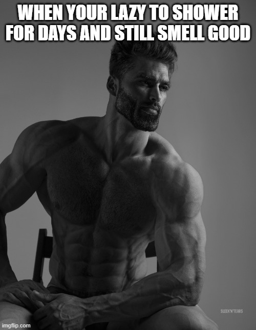 Giga Chad | WHEN YOUR LAZY TO SHOWER FOR DAYS AND STILL SMELL GOOD | image tagged in giga chad | made w/ Imgflip meme maker