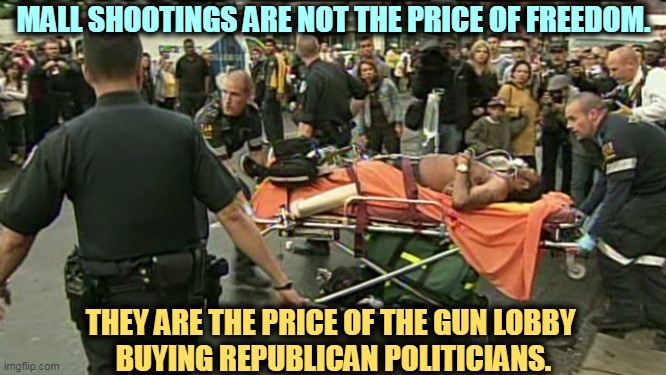 Our 200th mass shooting this year and they're always right wingers. How many from the left? Zero. | MALL SHOOTINGS ARE NOT THE PRICE OF FREEDOM. THEY ARE THE PRICE OF THE GUN LOBBY 
BUYING REPUBLICAN POLITICIANS. | image tagged in mass shooting,gun laws,gun safety,gun control,republican,politicians | made w/ Imgflip meme maker