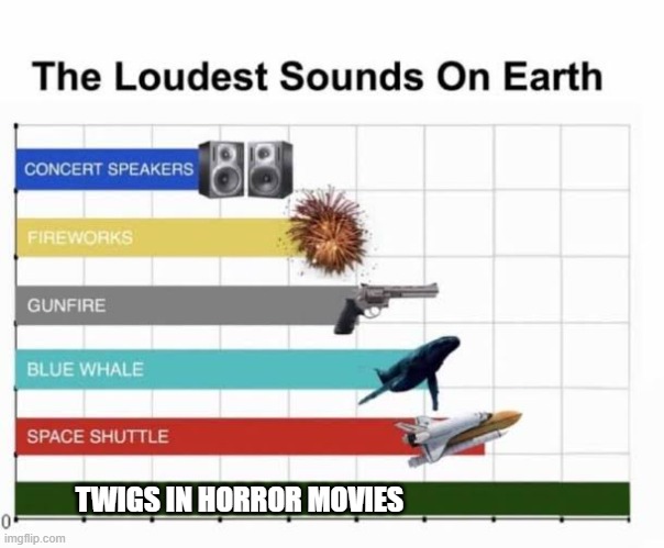 The Loudest Sounds on Earth | TWIGS IN HORROR MOVIES | image tagged in the loudest sounds on earth | made w/ Imgflip meme maker