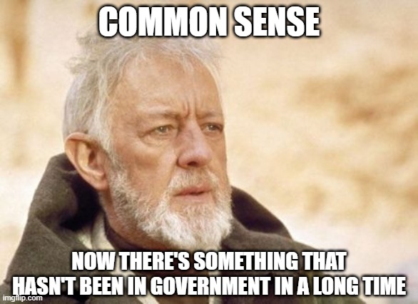 Can't Find It | COMMON SENSE; NOW THERE'S SOMETHING THAT HASN'T BEEN IN GOVERNMENT IN A LONG TIME | image tagged in memes,obi wan kenobi | made w/ Imgflip meme maker