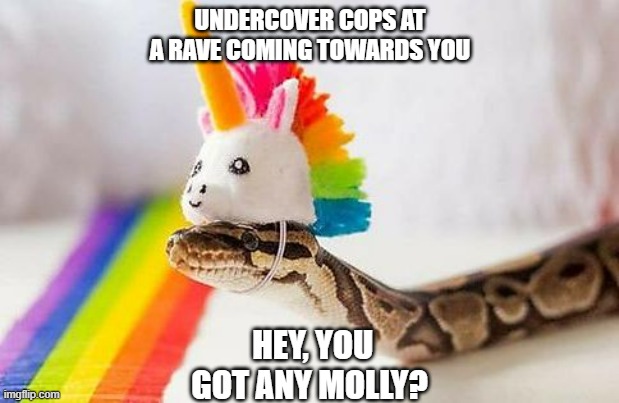Snake with Unicorn Hat | UNDERCOVER COPS AT A RAVE COMING TOWARDS YOU; HEY, YOU GOT ANY MOLLY? | image tagged in snake with unicorn hat | made w/ Imgflip meme maker