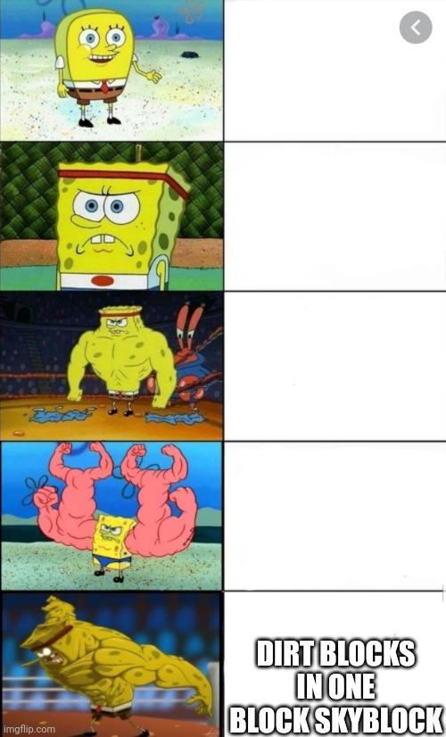 Sponge bob strength | DIRT BLOCKS IN ONE BLOCK SKYBLOCK | image tagged in sponge bob strength | made w/ Imgflip meme maker