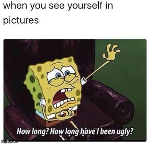 have i always been ugly? | image tagged in fun,spongebob,why | made w/ Imgflip meme maker