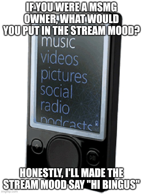 Zune Pod | IF YOU WERE A MSMG OWNER, WHAT WOULD YOU PUT IN THE STREAM MOOD? HONESTLY, I'LL MADE THE STREAM MOOD SAY "HI BINGUS" | image tagged in zune pod | made w/ Imgflip meme maker