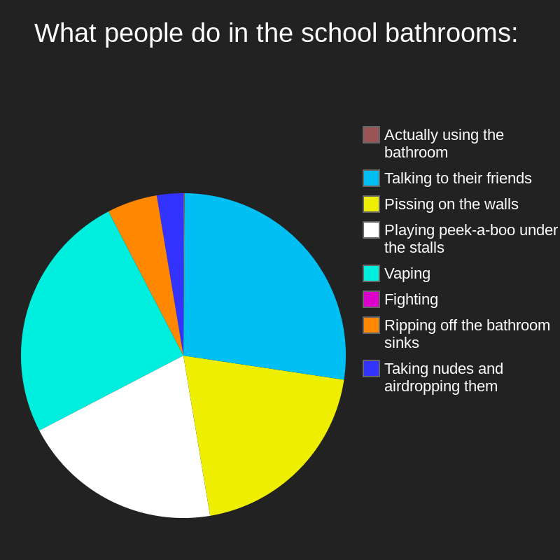 What people do in the school bathrooms Blank Meme Template