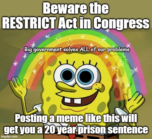 It is not about TikTok, it's about crushing dissent with totally unrestrained government tyranny | Beware the RESTRICT Act in Congress; Big government solves ALL of our problems; Posting a meme like this will get you a 20 year prison sentence | image tagged in memes,imagination spongebob | made w/ Imgflip meme maker