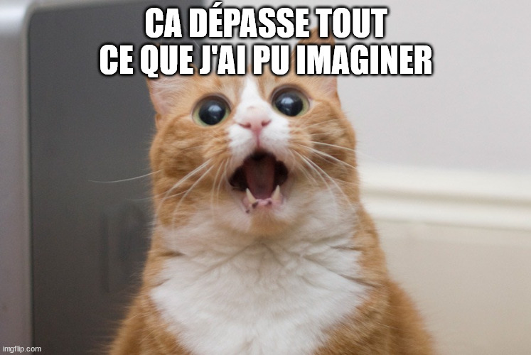 Amazed cat | CA DÉPASSE TOUT CE QUE J'AI PU IMAGINER | image tagged in amazed cat | made w/ Imgflip meme maker