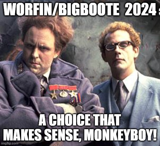 WORFIN/BIGBOOTE  2024; A CHOICE THAT MAKES SENSE, MONKEYBOY! | image tagged in election,2024,third party | made w/ Imgflip meme maker