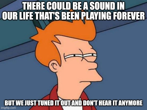 Futurama Fry Meme | THERE COULD BE A SOUND IN OUR LIFE THAT'S BEEN PLAYING FOREVER; BUT WE JUST TUNED IT OUT AND DON'T HEAR IT ANYMORE | image tagged in memes,futurama fry,shower thoughts,confusing | made w/ Imgflip meme maker