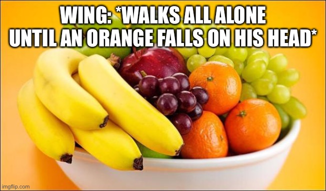 The return of The HornBat | WING: *WALKS ALL ALONE UNTIL AN ORANGE FALLS ON HIS HEAD* | image tagged in need a fruit | made w/ Imgflip meme maker