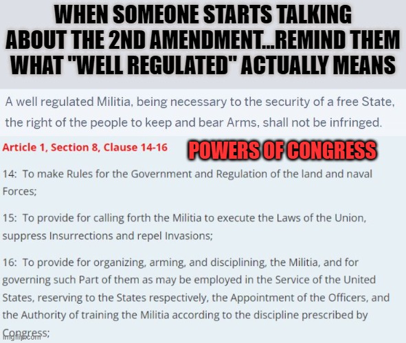 Second Amendment "Well Regulated" | WHEN SOMEONE STARTS TALKING ABOUT THE 2ND AMENDMENT...REMIND THEM WHAT "WELL REGULATED" ACTUALLY MEANS; POWERS OF CONGRESS | image tagged in second amendment | made w/ Imgflip meme maker