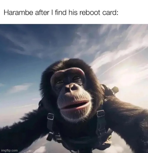 image tagged in memes | made w/ Imgflip meme maker