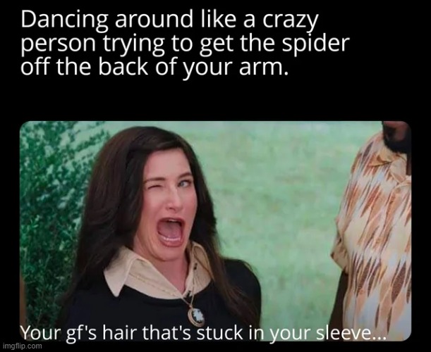 image tagged in memes | made w/ Imgflip meme maker