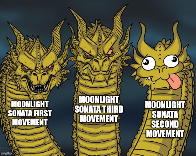 Three-headed Dragon | MOONLIGHT SONATA THIRD MOVEMENT; MOONLIGHT SONATA FIRST MOVEMENT; MOONLIGHT SONATA SECOND MOVEMENT | image tagged in three-headed dragon | made w/ Imgflip meme maker
