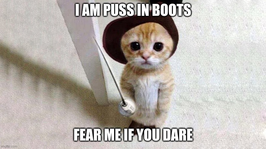 puss in boots v3 | I AM PUSS IN BOOTS; FEAR ME IF YOU DARE | image tagged in cat in boots,memes | made w/ Imgflip meme maker