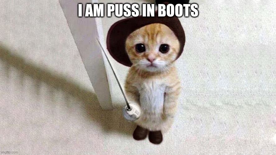 puss in boots v3 2.0 | I AM PUSS IN BOOTS | image tagged in cat in boots | made w/ Imgflip meme maker