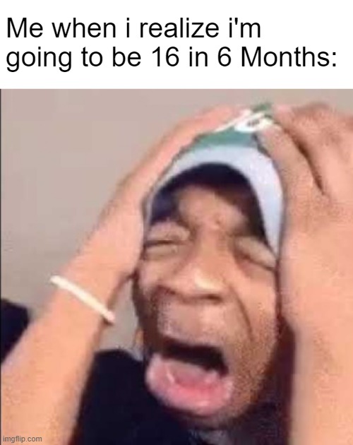 I don't wanna turn 16 | Me when i realize i'm going to be 16 in 6 Months: | image tagged in flightreacts crying | made w/ Imgflip meme maker