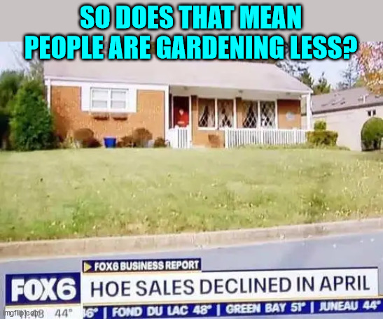 Hoe sales are down... that can't be good... | SO DOES THAT MEAN PEOPLE ARE GARDENING LESS? | image tagged in caption this,you had one job | made w/ Imgflip meme maker