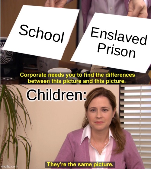 Yep, this is how I feel everyday | School; Enslaved Prison; Children: | image tagged in memes,they're the same picture,funny,funny memes,school,prison | made w/ Imgflip meme maker