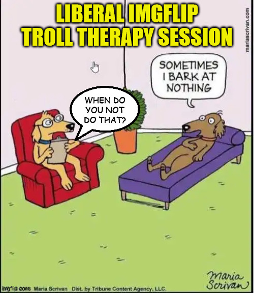 All they do is bark... | LIBERAL IMGFLIP TROLL THERAPY SESSION; WHEN DO YOU NOT DO THAT? | image tagged in liberal,trolls,therapy | made w/ Imgflip meme maker