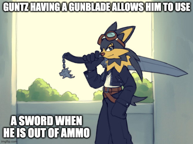 Guntz Cosplaying as Squall Leonhart | GUNTZ HAVING A GUNBLADE ALLOWS HIM TO USE; A SWORD WHEN HE IS OUT OF AMMO | image tagged in guntz,klonoa,squall leonhart,final fantasy,memes | made w/ Imgflip meme maker