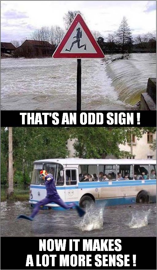 Frogman Late For Work ? | THAT'S AN ODD SIGN ! NOW IT MAKES
 A LOT MORE SENSE ! | image tagged in frogman,sign,flooding | made w/ Imgflip meme maker