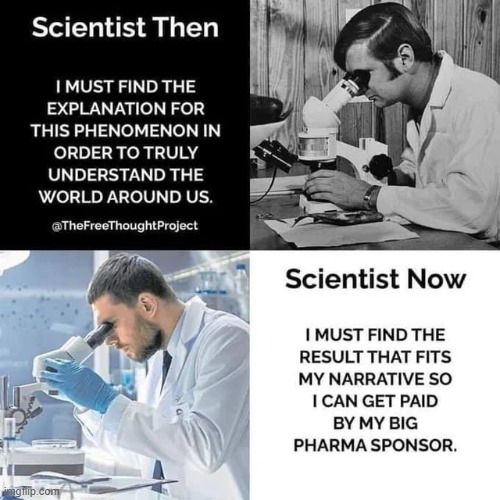image tagged in memes | made w/ Imgflip meme maker