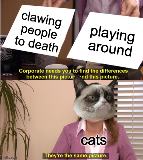 They're The Same Picture | clawing people to death; playing around; cats | image tagged in memes,they're the same picture | made w/ Imgflip meme maker