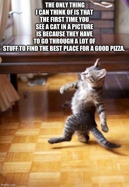 Cool Cat Stroll | THE ONLY THING I CAN THINK OF IS THAT THE FIRST TIME YOU SEE A CAT IN A PICTURE IS BECAUSE THEY HAVE TO GO THROUGH A LOT OF STUFF TO FIND THE BEST PLACE FOR A GOOD PIZZA. | image tagged in memes,cool cat stroll | made w/ Imgflip meme maker