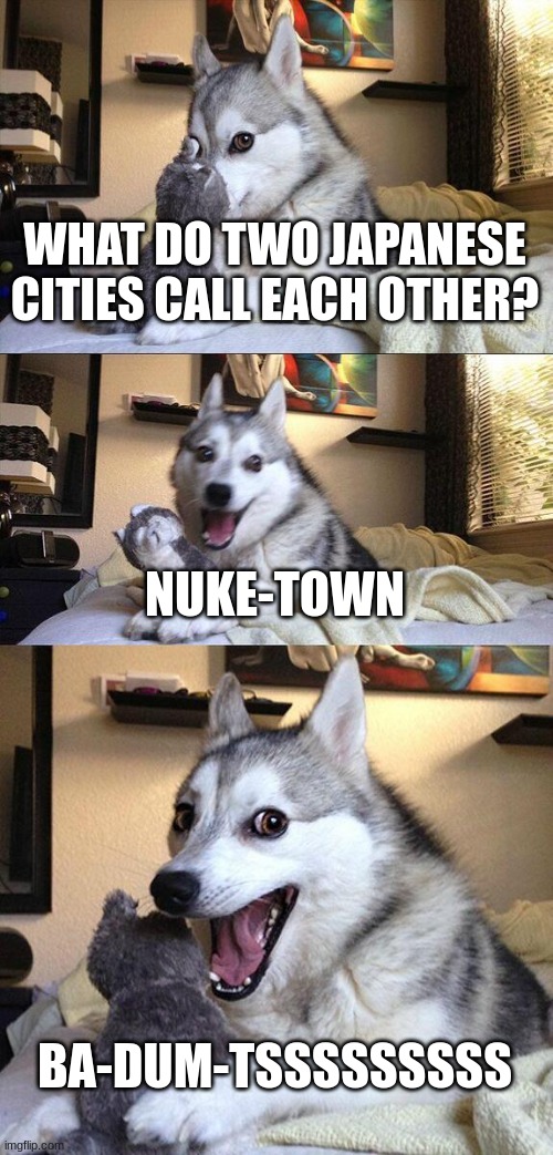 boom goes the nukes | WHAT DO TWO JAPANESE CITIES CALL EACH OTHER? NUKE-TOWN; BA-DUM-TSSSSSSSSS | image tagged in memes,bad pun dog | made w/ Imgflip meme maker