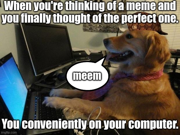 Idk y I made this... | When you're thinking of a meme and you finally thought of the perfect one. meem; You conveniently on your computer. | image tagged in dog behind a computer | made w/ Imgflip meme maker
