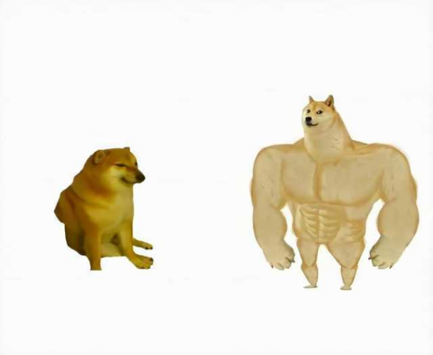 High Quality Weak strong doge Blank Meme Template