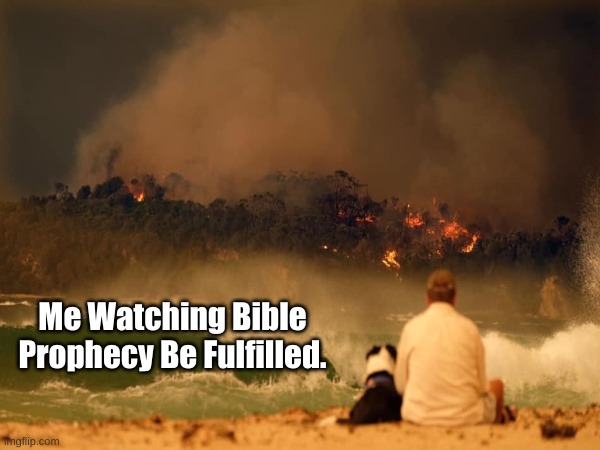 Watching prophecy | Me Watching Bible Prophecy Be Fulfilled. | image tagged in watching,prophecy | made w/ Imgflip meme maker