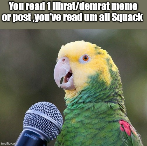 Bird speaks the Truth .. TRUMP TRUMP TRUMP - Imgflip