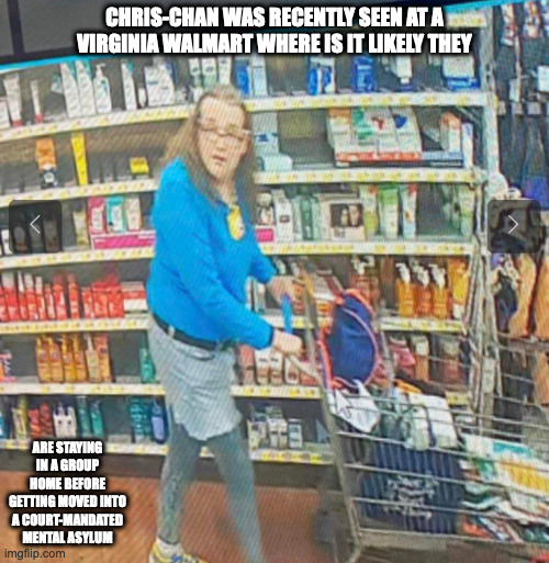 Chris-Chan in the Public | CHRIS-CHAN WAS RECENTLY SEEN AT A VIRGINIA WALMART WHERE IS IT LIKELY THEY; ARE STAYING IN A GROUP HOME BEFORE GETTING MOVED INTO A COURT-MANDATED MENTAL ASYLUM | image tagged in chris chan,memes | made w/ Imgflip meme maker