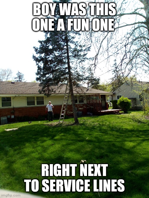 Another day on the job | BOY WAS THIS ONE A FUN ONE; RIGHT NEXT TO SERVICE LINES | image tagged in trees | made w/ Imgflip meme maker