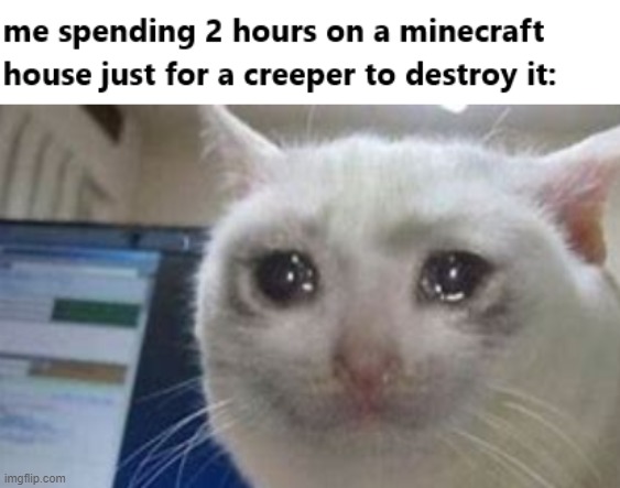 image tagged in minecraft,memes,funny | made w/ Imgflip meme maker