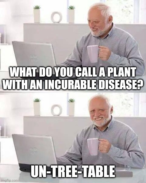 Un-tree-table | WHAT DO YOU CALL A PLANT WITH AN INCURABLE DISEASE? UN-TREE-TABLE | image tagged in memes,hide the pain harold,puns | made w/ Imgflip meme maker