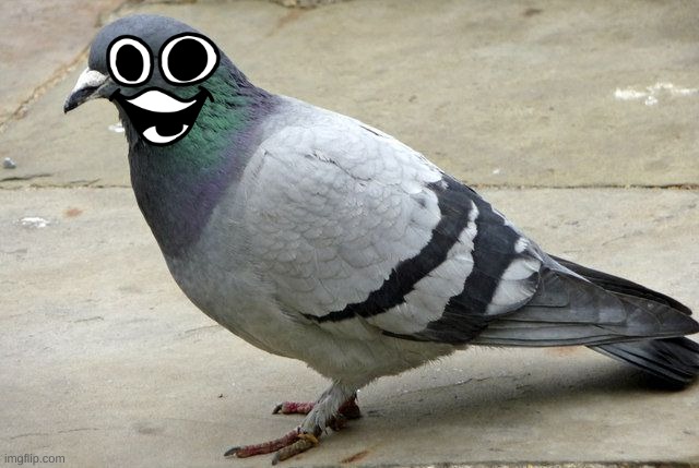 popular opinion pidgeon | image tagged in popular opinion pidgeon | made w/ Imgflip meme maker