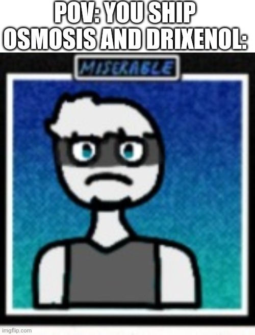 Osmori is: miserable | POV: YOU SHIP OSMOSIS AND DRIXENOL: | image tagged in blank white template | made w/ Imgflip meme maker