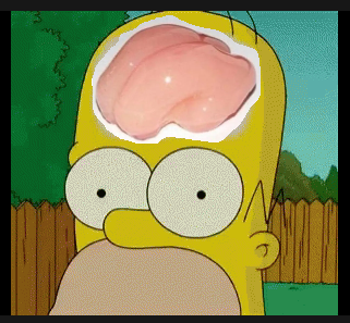 shiny smooth homer simpson brain Blank Meme Template